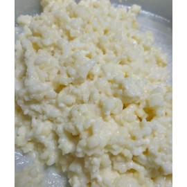Milk Kefir Grains