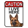 CAUTION I LIVE HERE METAL GATE SIGN GERMAN SHEPHERD THEME