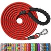 NTR Long Leash for Dogs, 100FT Check Cord with Swivel