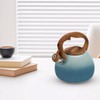 Foedo Tea Pot, 3.2Qt Tea Kettle Stovetop, Food Grade Stainless