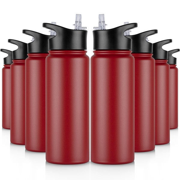 VQRRCKI 24 oz Insulated Water Bottle Bulk 8 Pack, Stainless