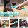 Abbylike 12 Piece Horse Grooming Kit with Organizer Tote Bag
