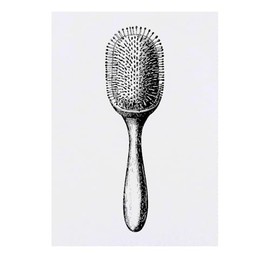 'Single Hairbrush' Temporary Tattoo - Water Resistant, Skin-Safe, Non-Toxic Transfer (TO00076753)