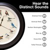 Mark Feldstein, The Original Singing Bird Wall Clock, 13 Inch,
