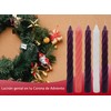 Eucaris - Velas de Adviento, Juego de 5 Velas para