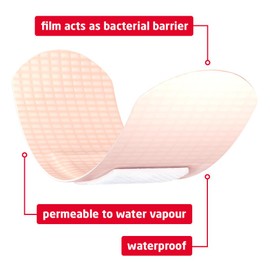 Leukoplast Barrier Waterproof Plasters, 3.8x2.2cm (Pack of 100)
