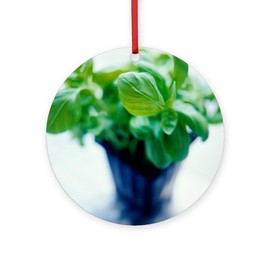 CafePress Basil Plant Round 4" MDF Holiday Ornament