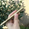 Solid Brass Pen with Retractable Refills and Bolt Action Portable
