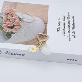 Moydolo Cute Resin Strawberry Car Key Chain Ring Charm Fruit Strawberry Keychain Pendant For Women Girls Backpack Purse