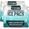 Arctic Zone Titan Deep Freeze Ice Pack- (2 Pack) 600
