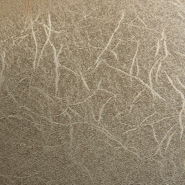 ANT Champagne Gold 24" x 30'Textured Metallic Premium Permanent Adhesive Craft Vinyl for Outdoor All-Weather Fade Proof, Indoor Outdoor Use for Craft, Cricut Venture, Sign Cutter