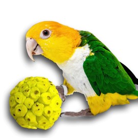 Mandarin Bird Toys by M&M 5201 Small Rainbow Sola Balls Pk8 - Natural Sola Wood Colorful Ball Foot Toys, Handmade Chewable Spheres, Pet Safe, Bright Assorted Colors, Great Fun for Sm to Med Size Birds