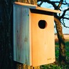 Woodlink WD1 Cedar Duck House, 1