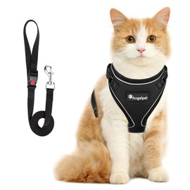 Angelpet Harness for Cats, Kittens, Puppies, Small Dogs, Walks, Outings, Won’t Slip off, Vest, Soft, Lightweight, Velcro, Torso Ring, Adjustable, Reflective, Breathable Mesh (Size S, Black)