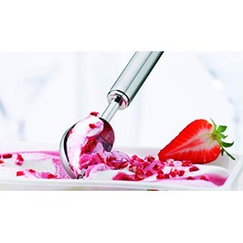 Rosle USA - Cuchara de helado de acero inoxidable, 8 pulgadas, color plateado