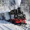 20 Napkins Railway in Winter Landscape | Locomotive | Train