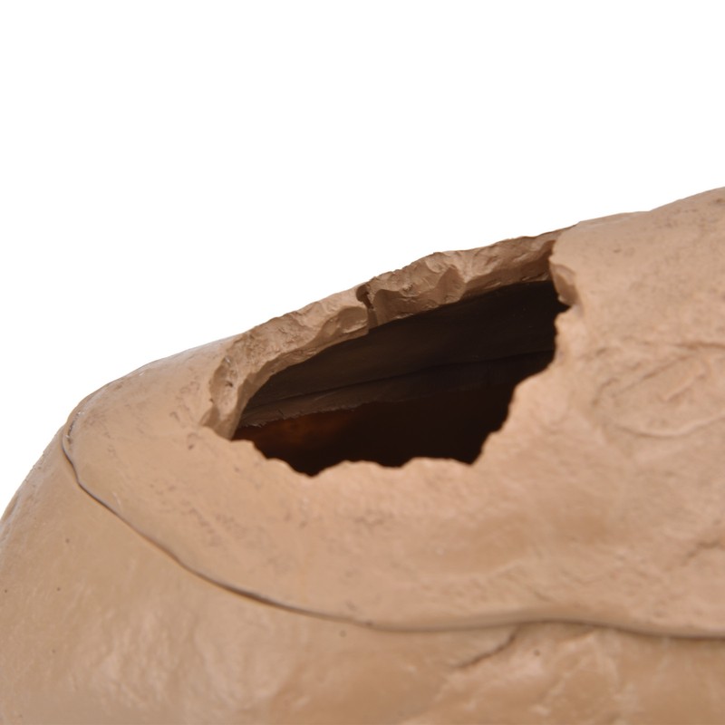 Reptile Shelter House Resin Aquarium Cave DIY Artificial Fish Tank
