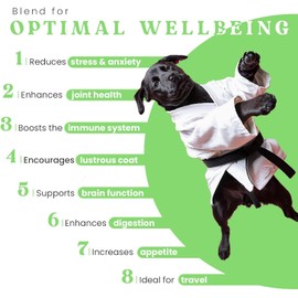 Pack of 2 Hemp Oil for Dogs and Cats – Helps with Skin, Coat & Health – Premium Fish Oil Blend – Improves Immune System & Нiр Jоint Hеalth - Natural Ingredients - Made in USA (1oz)