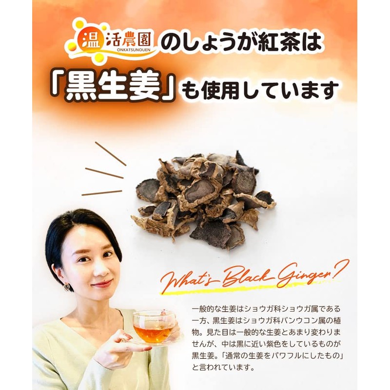 Warm Farm Ginger Tea 0.07 oz (2 g) x 25