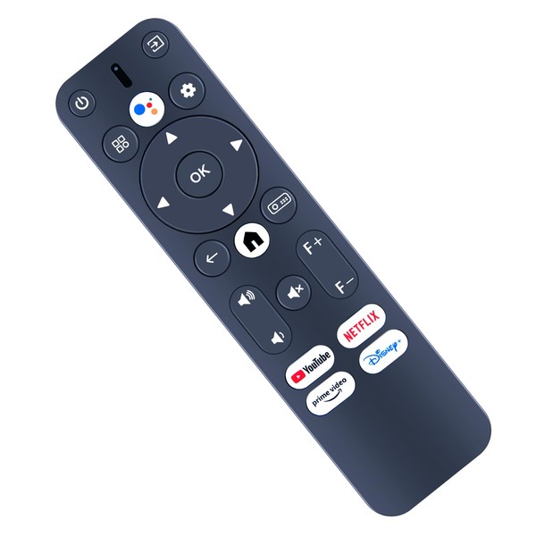 ZWP Replacement Voice Remote Control for WANBO Mozart 1 Pro/M1