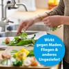 Ardap Organic Waste Powder 500 G - Against Flies, Maggots,