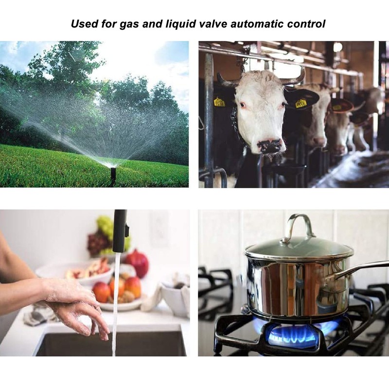 Gas Leakage Detector Audible Visual Alarm 12VDC Gas Detection Shut