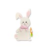 Roeda Brighten Your Life 14787w White Easter Bunny with Plaid