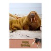 Walrus Birthday Card