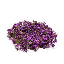 Exner GmbH Gypsophilia linz Wreath - Purple - 33 cm