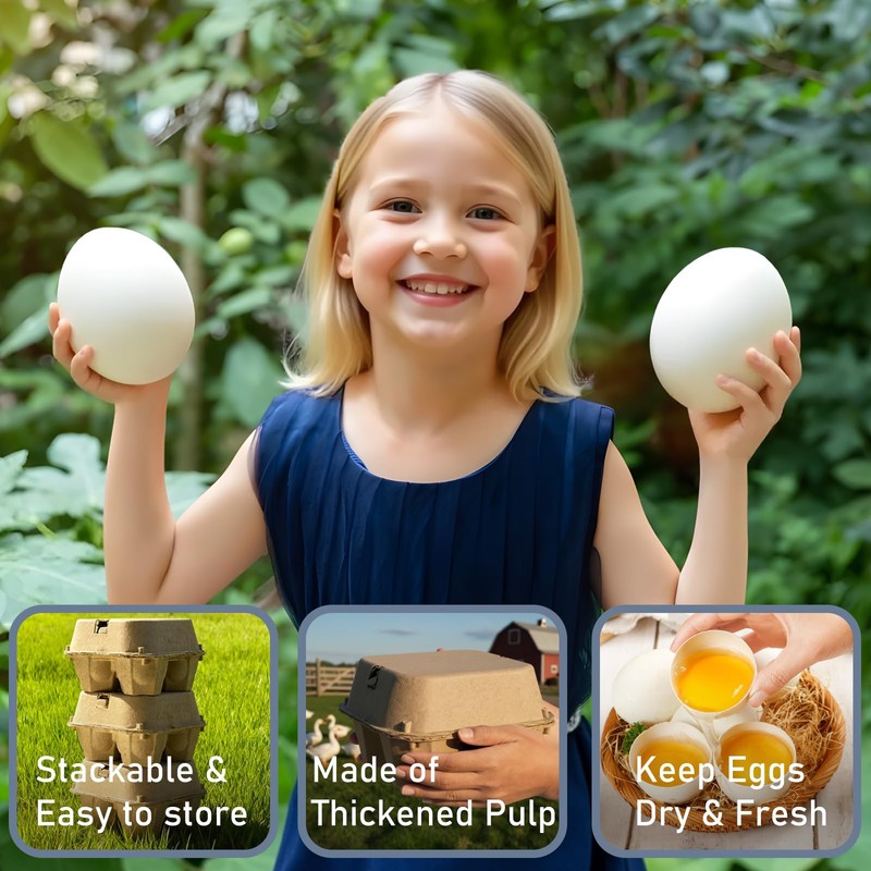 HavRixor Goose Egg Cartons 4 Grids 20 Pack- Holds Up