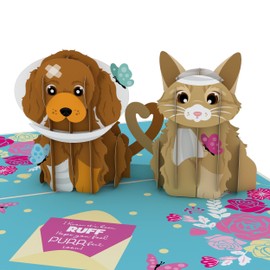 Lovepop® 3D Pop-Up Get Well Card | Cute Greeting Card with Get Well Wishes for Pets | Unique 3D Folding Card with Cute Dog and Cat | Get Well Soon for Pets