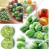 Thumb Watermelon Seed Pack 60 pcs - Climbing Perennial Heirloom