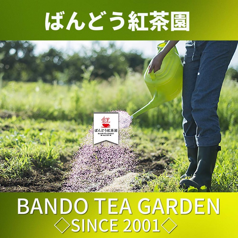 Bando Tea Lavender Tea 30 Tea Bags (0.09 oz (2.5