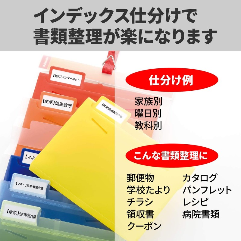 Esselte Wall Pocket Sorting File, rainbow