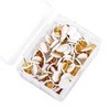 Parthan 100 Pcs White Drawing Pins, Push Tack, White Drawing
