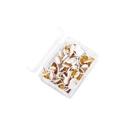 Parthan 100 Pcs White Drawing Pins, Push Tack, White Drawing Pins, Thumbtacks for Pinboard, Bulletin Board, Cork Board, Office and Home Use