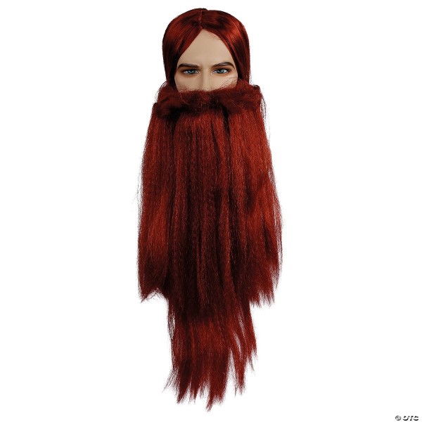 Lacey Wigs Wizard Wig & Beard Set