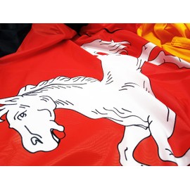 FLAGLY Premium Lower Saxony Flag 100 x 150 cm -115 g/m² Fabric Weight - Printed, Robust and Weather-Resistant Gloss Polyester with Eyelets (100 x 150 cm, Lower Saxony)