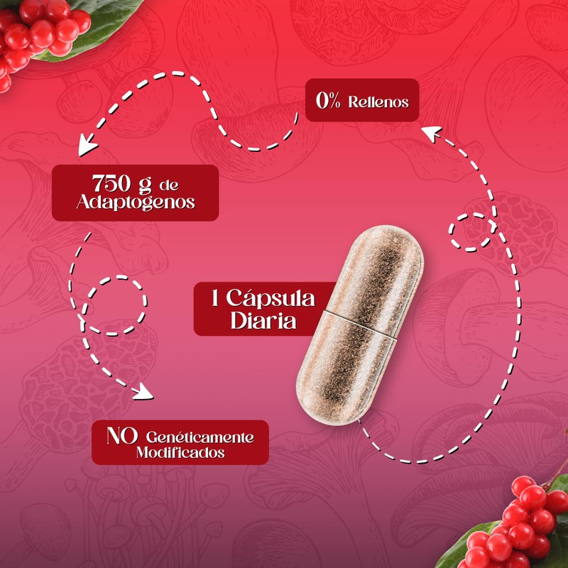 Schisandra 30 Cápsulas de 750 mg. | Adaptógeno | Equilibra