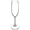 Carlisle FoodService Products Alibi Champagne Flute for Restaurants, Catering, Kitchens,
