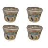 Shirakiku Udon Cup Nama Sanukiya, 7.76-Ounce Units (Pack of 6)