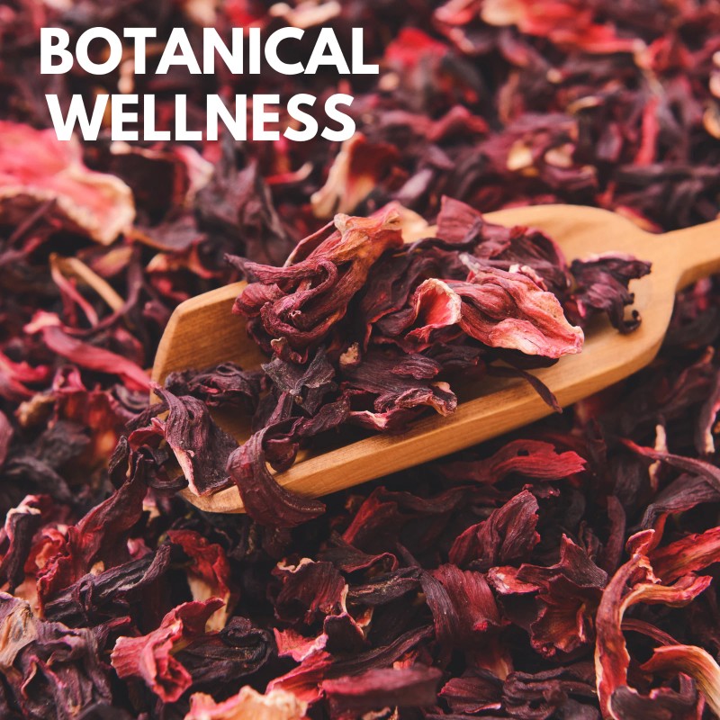 Dermaline Hibiscus Flower& Arnica Ointment 2.5 fl oz (3-Pack)