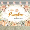 Fall Baby Shower Backdrop Pumpkin Baby Shower Decorations A Little
