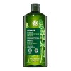 Shampoo Anticaída Yves Rocher Para Adultos, 300 mL