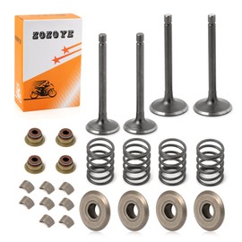 Fugi Robbin 295cc 350cc Exhaust & Intake Valve & Seals Springs Rebuild kit For EZGO 4 Cycle Gas Golf Cart MCI 2003-2008 72857-G01 72507-G01 Valve Collet Keepers and Valve Spring Retainers