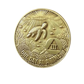 Sea Turtle 3 Year AA One Day at A Time Seaturtle Medallion Serenity Prayer Chip