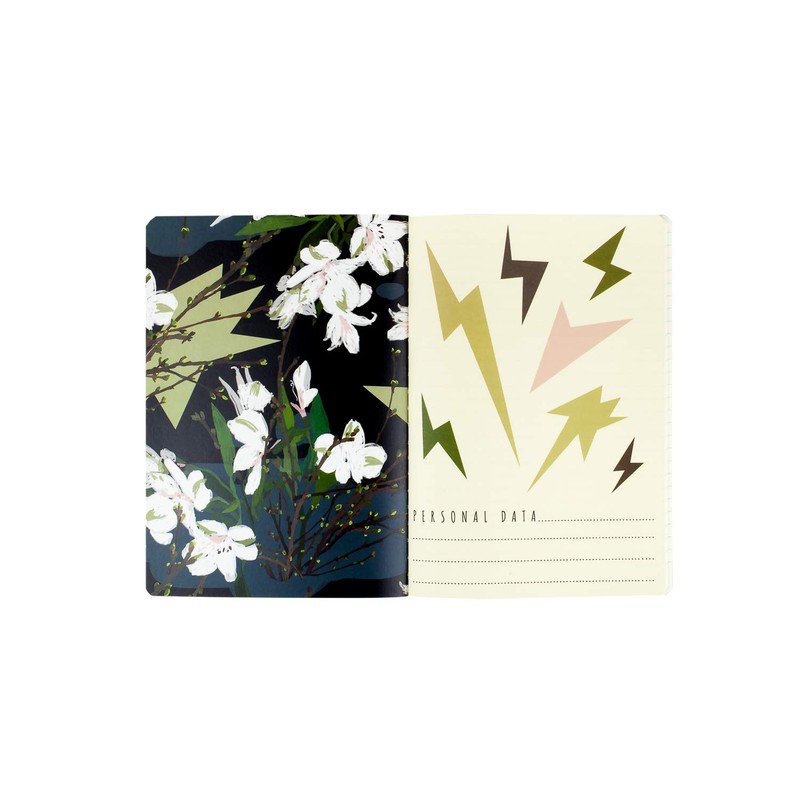 BV by Bruno Visconti Premium Set of Eight Lined Notebooks/Diaries