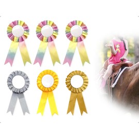 AOYEGIC Pack of 6 Hobby Horse Rosettes for Winners, Accessories for Fun Horse Accessories, Bows for Sports Events Talent Shows DIY Party Supplies (Colourful)