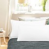 PiccoCasa Microfiber 110GSM Zippered Pillow Case Set of 2 Pillow