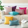 JOTOM Set of 2 Velvet Soft Solid Cushion Covers 30x50